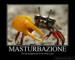 Pubblico (testadicazzobonsai-7)