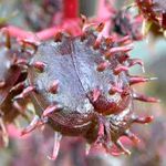 http://img04.elicriso.it/.jpg