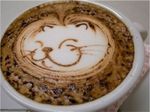 Coffie Garfield.jpg