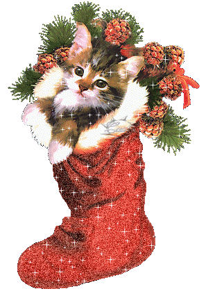 calza_befana_000004.gif