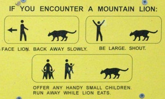 funny-signs-15.jpg