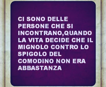 2adb3ca3-79ad-4143-ba16-0f0608c5b30b_x365.jpg