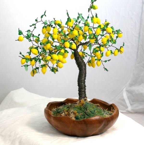 come-curare-un-bonsai-di-limone_O1.jpg