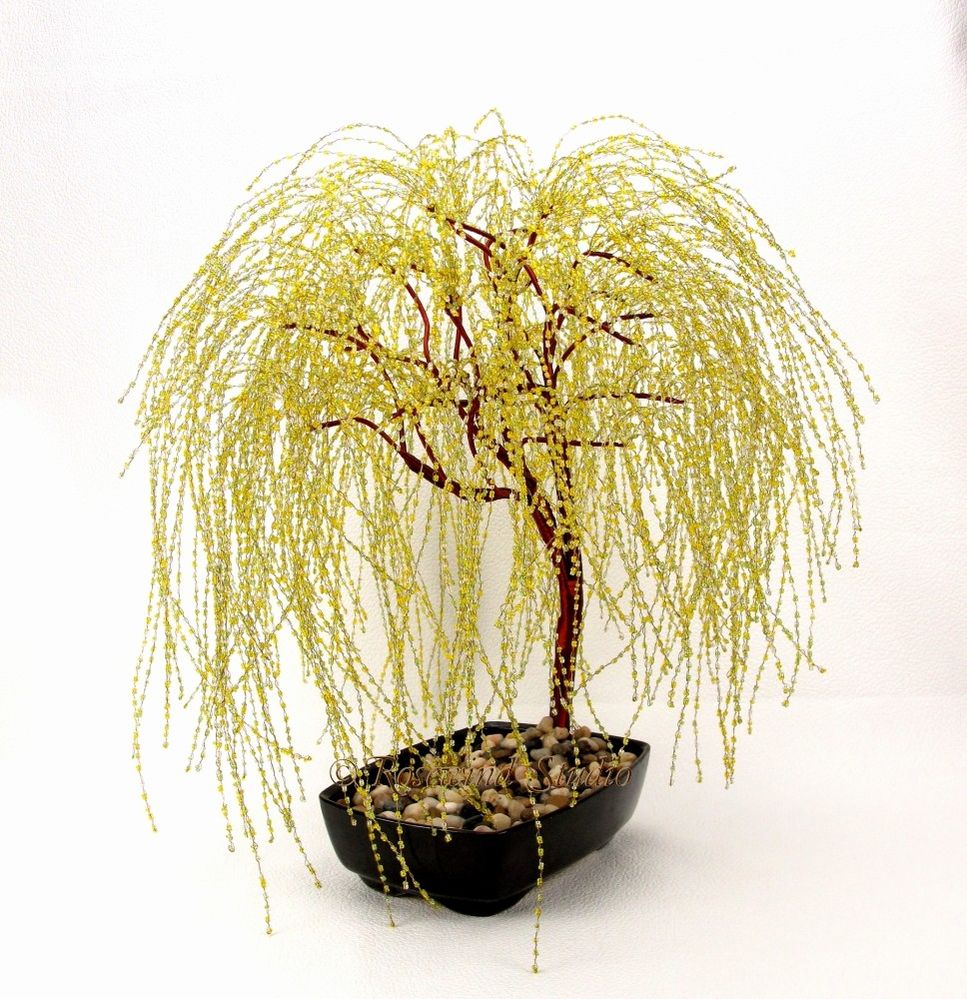 weepingwillow.jpg