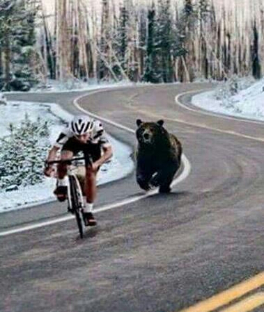 2784-ciclista-inseguito-orso-1.jpg