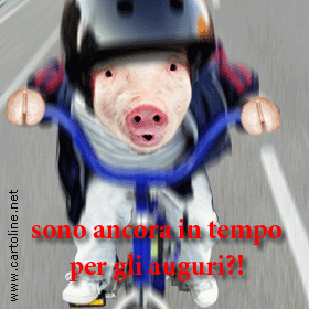 compleannoa052.gif