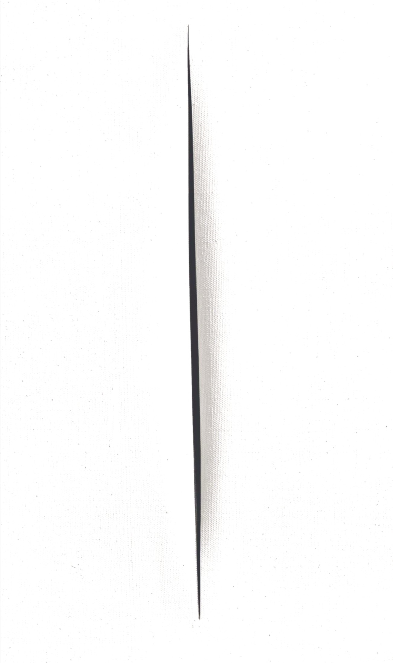 concetto-spaziale.jpg