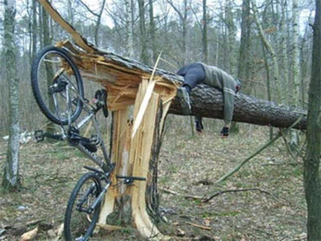 bike-hits-tree.jpg