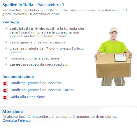 paccocelere 3.PNG