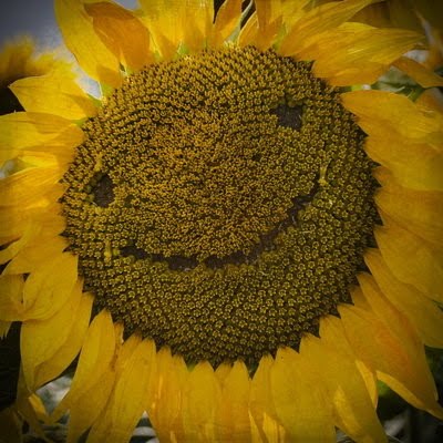 natures-smile-9.jpg
