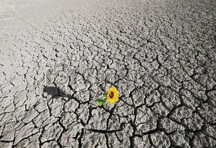 can-stock-photo_csp13338112-1.jpg
