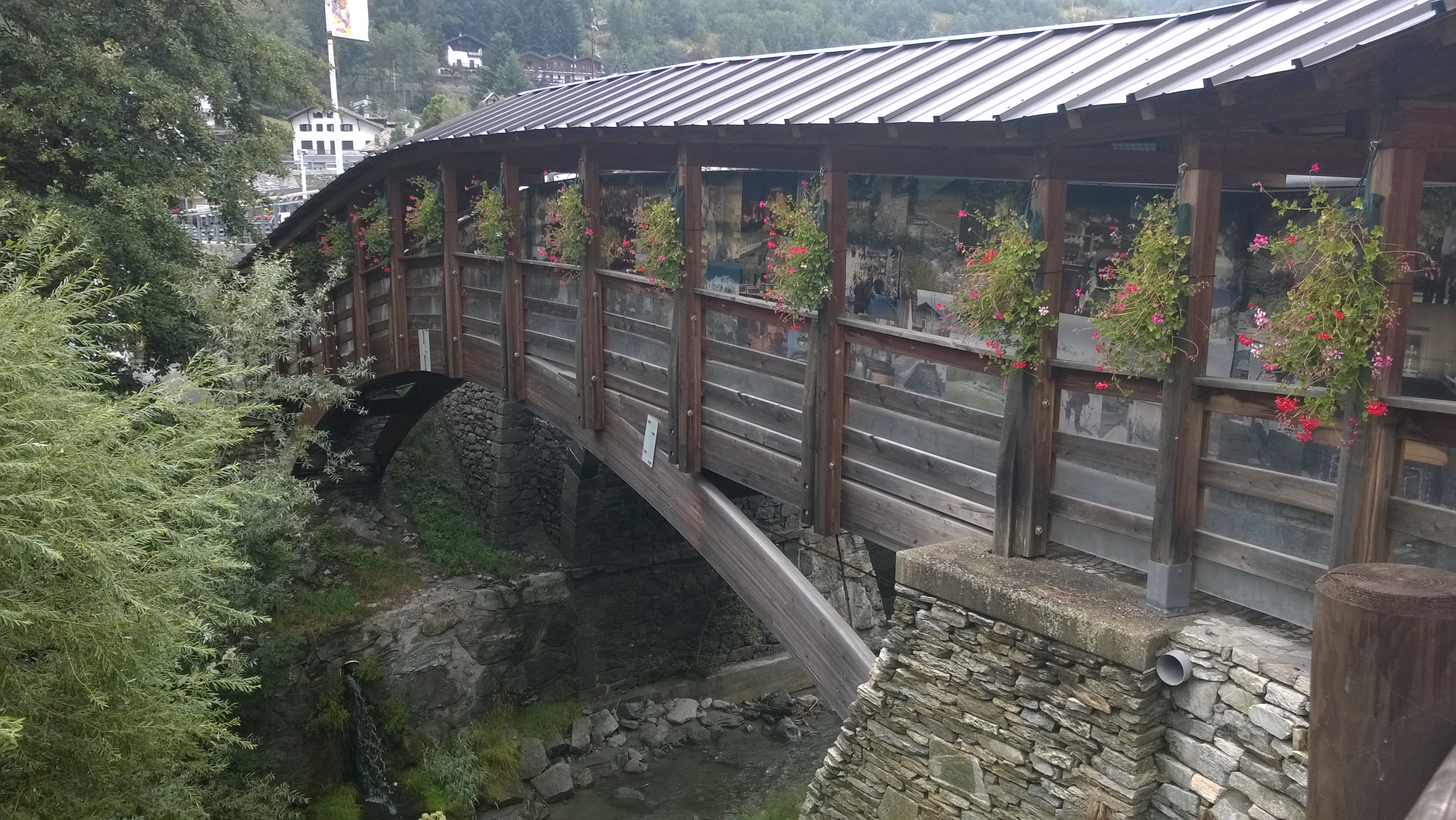 WP_20150809_16_01_05_Pro.jpg