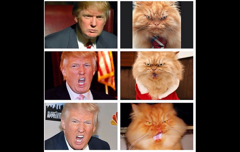 garfi-trump.PNG