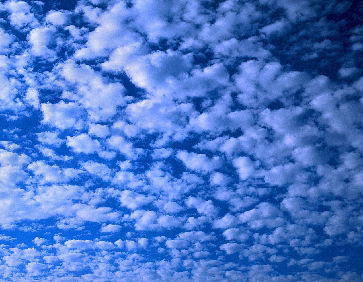sky10.jpg