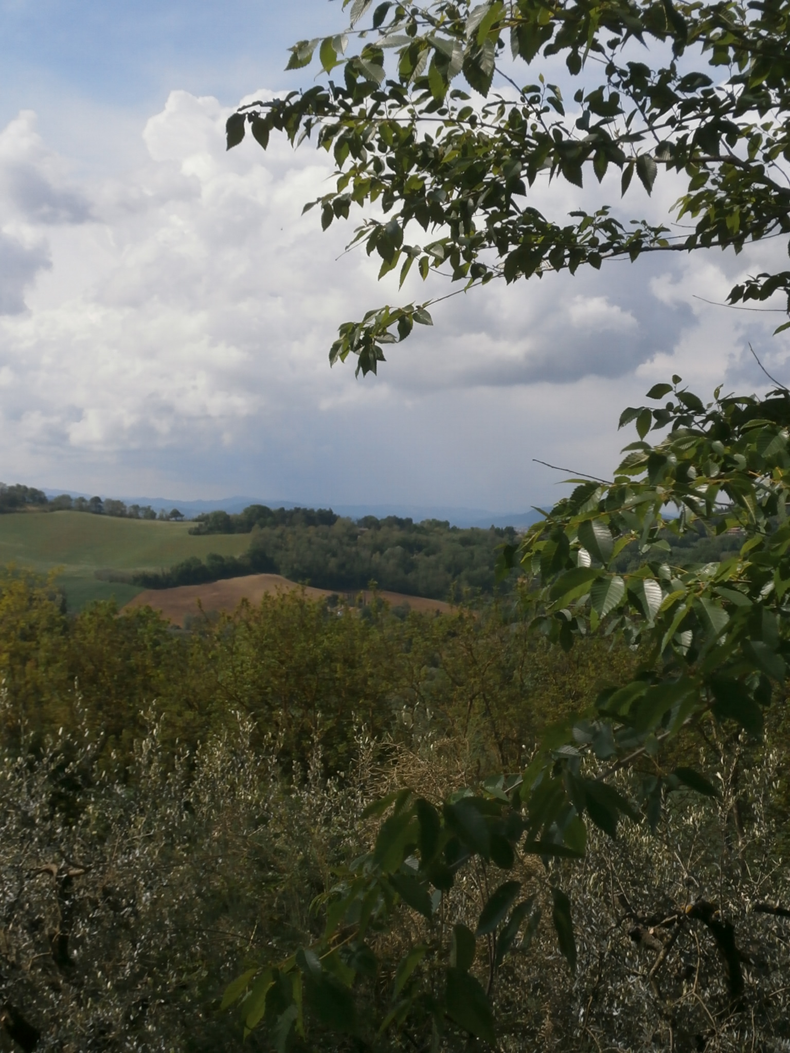 P4250009.JPG