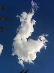 IMG_20140612_173039.jpg