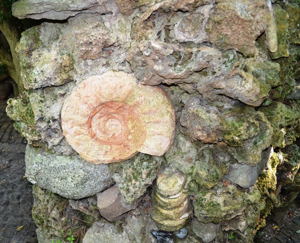DSC_0074.JPG