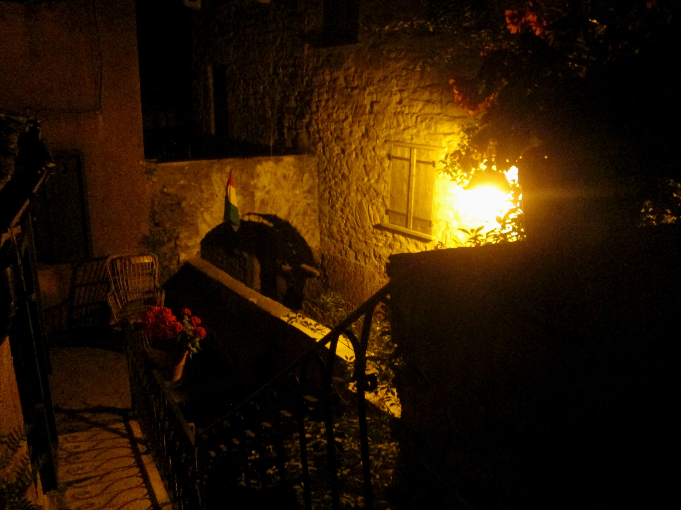 IMG_3421.JPG