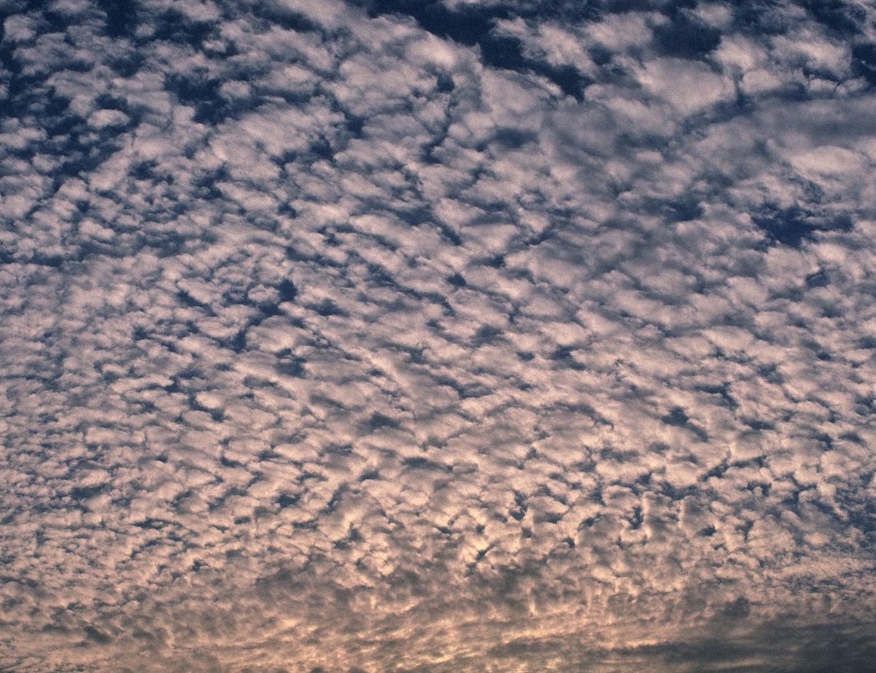 n90.jpg