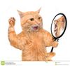 https://thumbs.dreamstime.com/z/cat-looking-mirror-seeing-reflection-lion-isolated-white-59832435.jpg