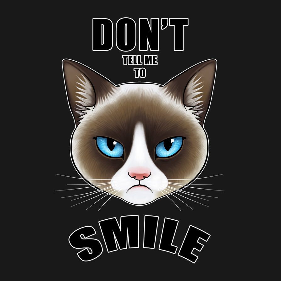 don_t_tell_me_to_smile___grumpy_cat_version_by_laurenmagpie-d7hlz3j.jpg