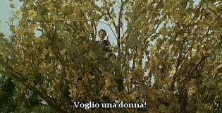 2016-10-19-16-36-14--1945111489.jpeg 2016-10-19-16-36-14--1945111489.jpeg