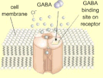 Pubblico (gaba.exxxpress)