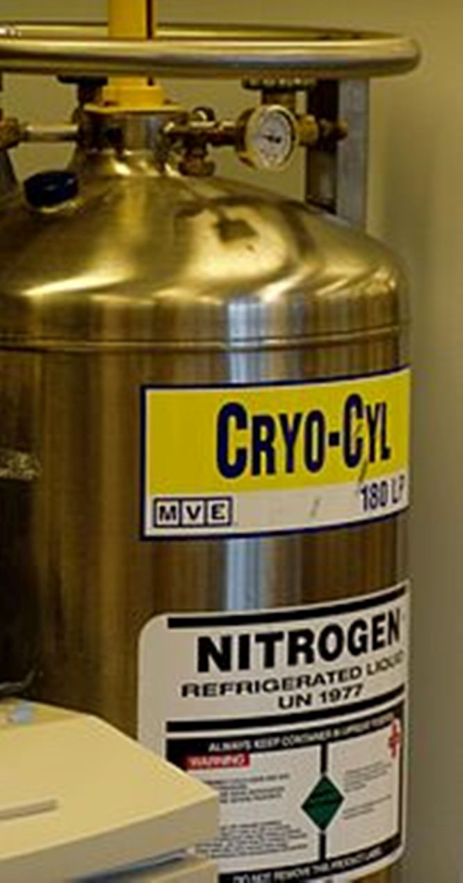 Liquid_nitrogen_tank.JPG