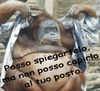 ora1.jpg