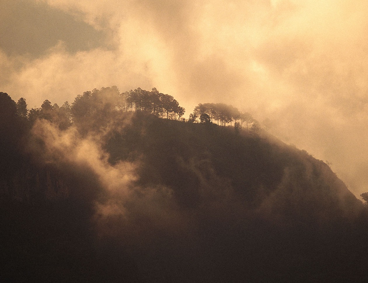 misty_mountains_1.jpg