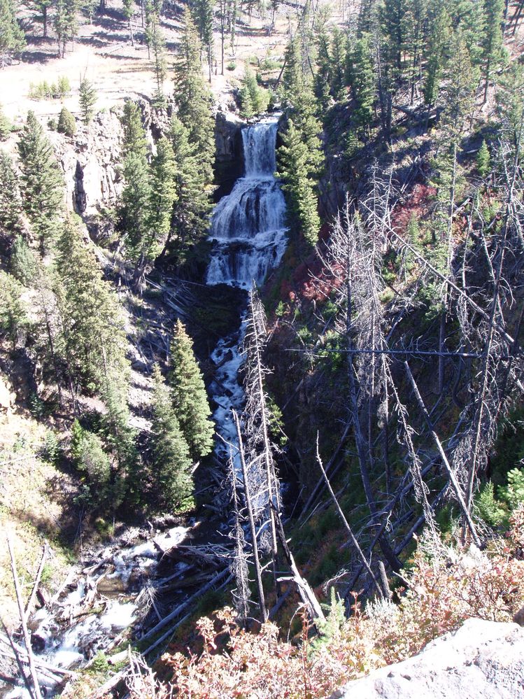 yellowstone 071.jpg