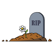 index.png