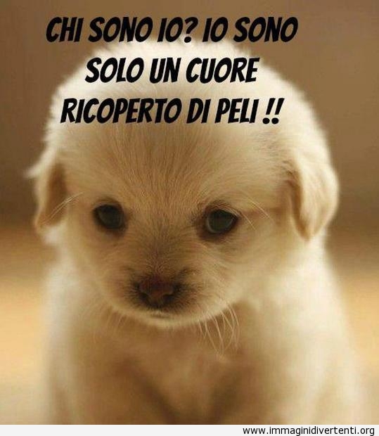 chi-sono-io-io-sono-solo-un-cuore-ricoperto-di-peli.jpg