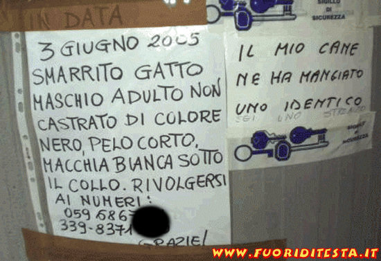 gatto_smarrito.jpg