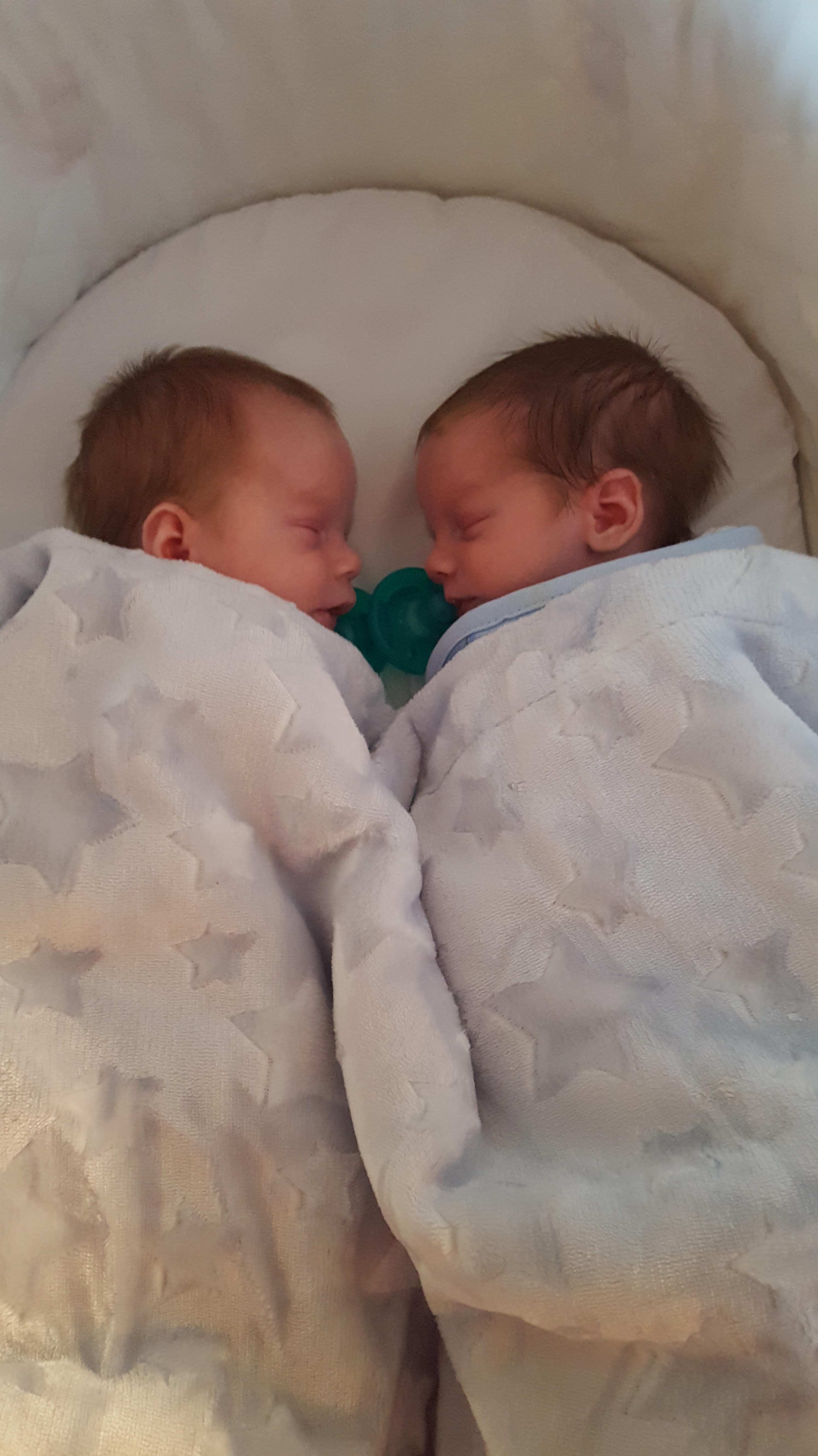 twins.jpg