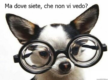 emkekg2mml-ma-dove-siete-che-non-vi-vedo-bestiaccia-post-by-anymore_b-1.jpg