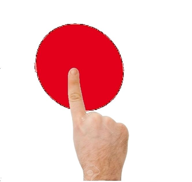 pllm.jpg