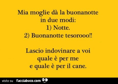 jtq63y10s5-mia-moglie-da-la-buonanotte-in-due-modi-1-notte-2-buonanotte-tesorooo-lascio_b.jpg