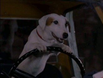 cane2.gif
