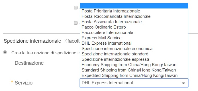 ebay_opzione_spedizione.jpg