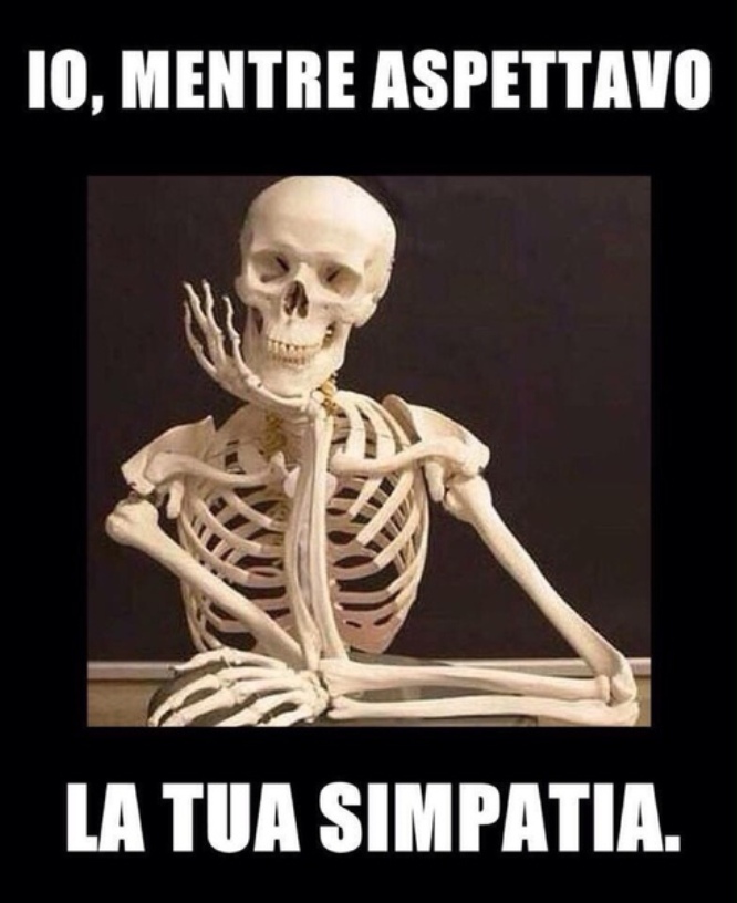 rilfe.jpg