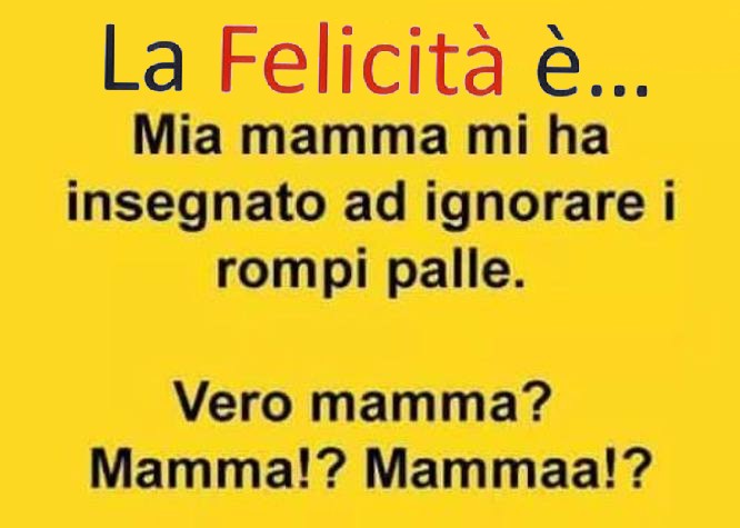 miama.jpg