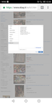 Screenshot_20190129-223813.png