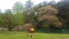 cache_194d8721736f745d388d69d112de08bc_85a3fcd45f76ff0007cd.jpeg