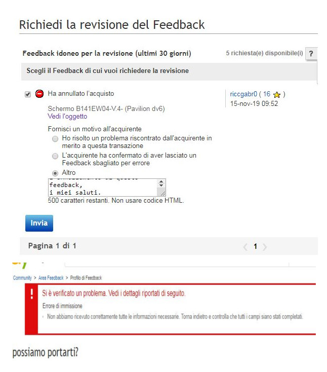 revisione+.jpg