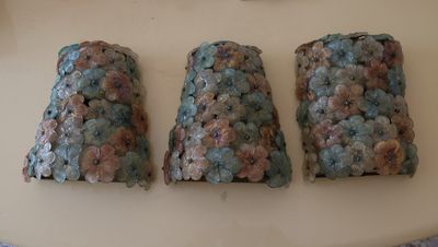 DSCF2414.jpg