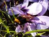 20201024_155832.jpg
