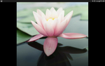 Screenshot_2021-01-30-02-44-20.png