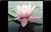 Screenshot_2021-01-30-02-44-20.png
