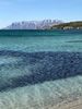605D834F-F1C2-410C-BE4F-0F270281B0F2.jpeg